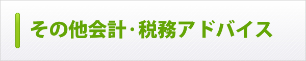 その他会計・税務アドバイス